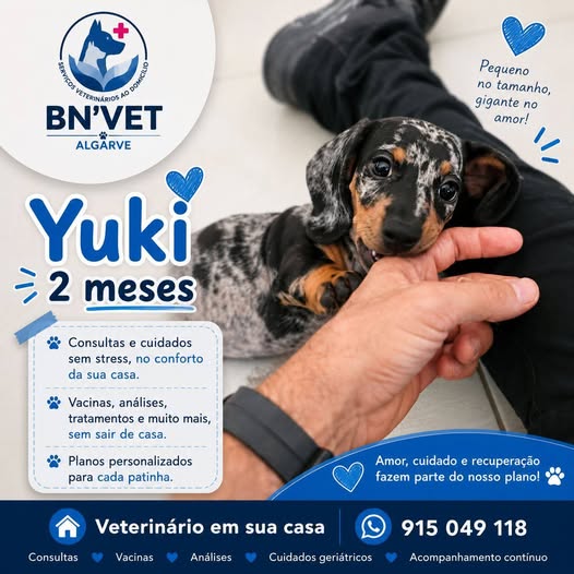 BNVET