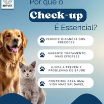 BNVET