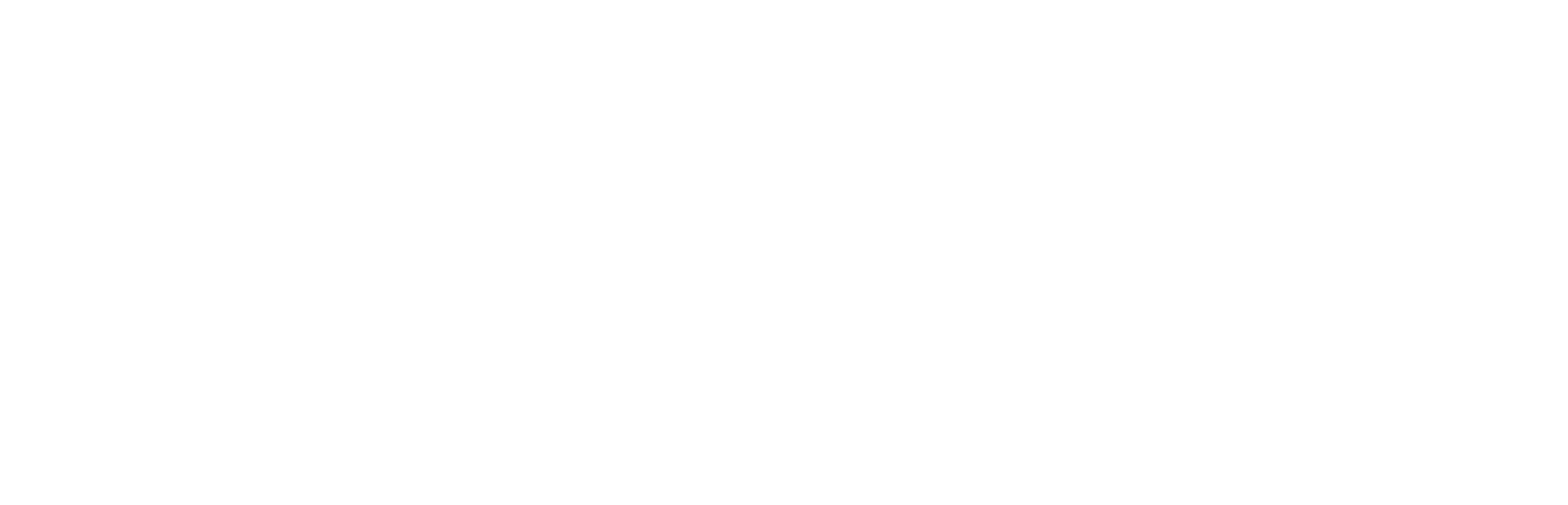 BichoVets
